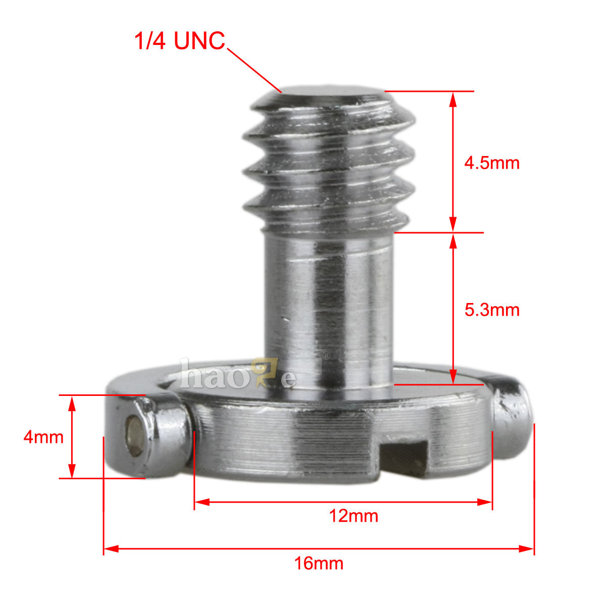 Haoge 1/4"-20 D-Ring Stainless Steel Mounting Fixing Screw for Camera Tripod Monopod Quick Release Plate (Pack of 2)